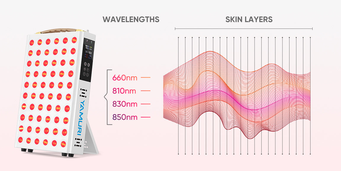 Red light therapy panel with 660nm, 810nm, 830nm, 850nm wavelengths penetrating skin layers for at-home treatment