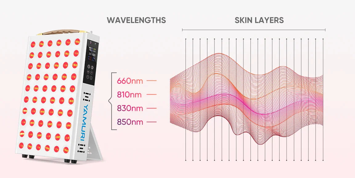 Red light therapy panel with 660nm, 810nm, 830nm, 850nm wavelengths penetrating skin layers for at-home treatment
