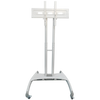 Full Body Red Light Therapy Panel with Adjustable Mobile Stand, Rolling Floor Stand for Muscle Recovery, Pain Relief and Daily Wellness