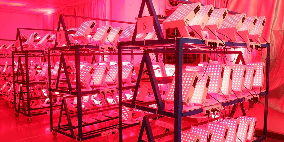 Rows of red light therapy panels on industrial racks glowing with LED light for muscle recovery and skin health
